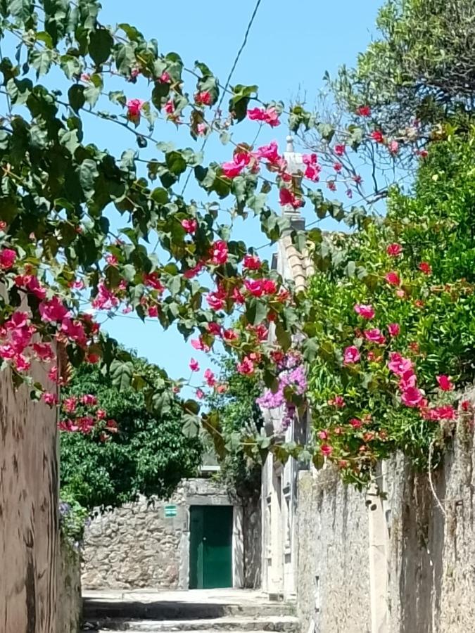 Seaview Dubrovnik Old Town Apartment Ngoại thất bức ảnh